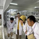 dukung ketahanan pangan di ikn, billy mambrasar luncurkan program petani milenial kaltim
