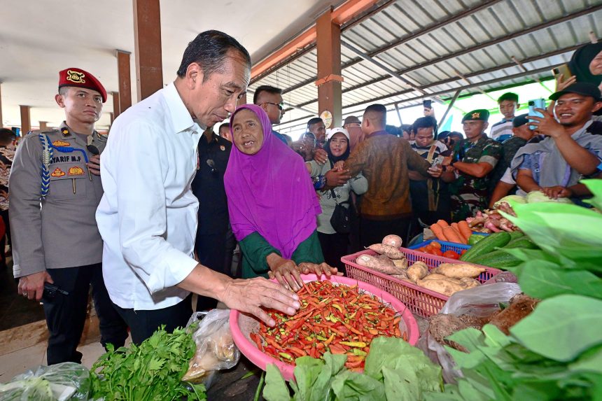 kunjungi pasar sebukit rama, presiden jokowi: harga baik dan stabil