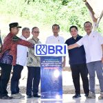 presiden jokowi: minat investasi di ikn tinggi, banyak investor antre
