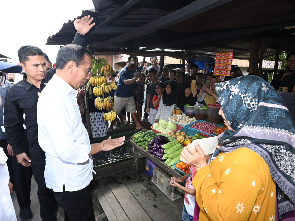 presiden jokowi cek harga di pasar pata katingan