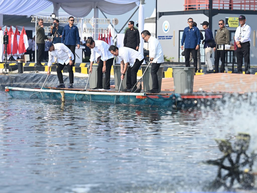 resmikan modeling tambak ikan nila, presiden: permintaan global sangat besar 18 resmikan modeling tambak ikan nila, presiden: permintaan global sangat besar