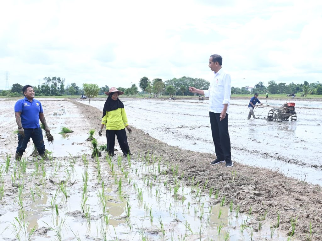 respons potensi kekeringan panjang, presiden tinjau pompanisasi di kotawaringin timur 18 respons potensi kekeringan panjang, presiden tinjau pompanisasi di kotawaringin timur