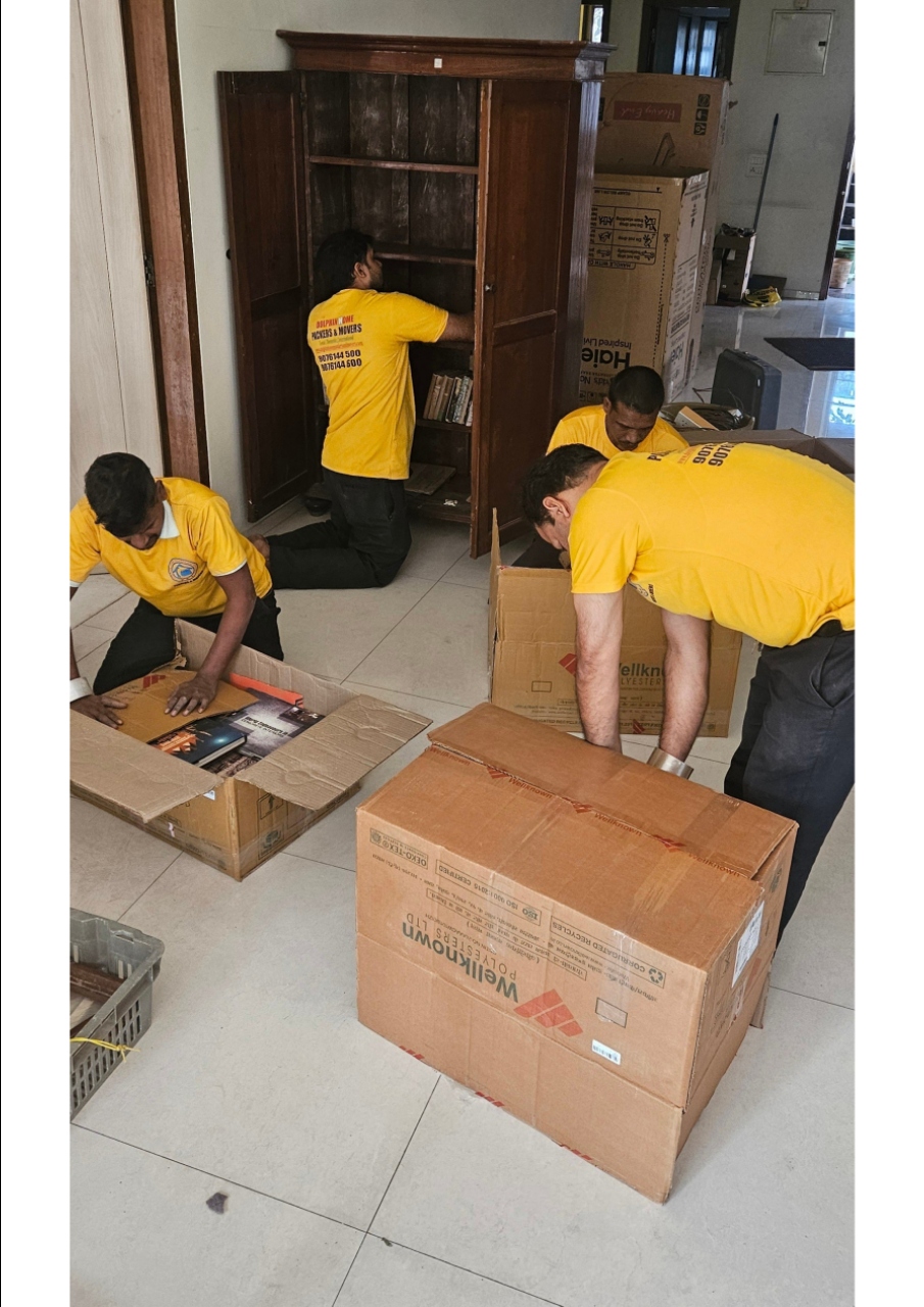 Dolphin Home Packers And Movers