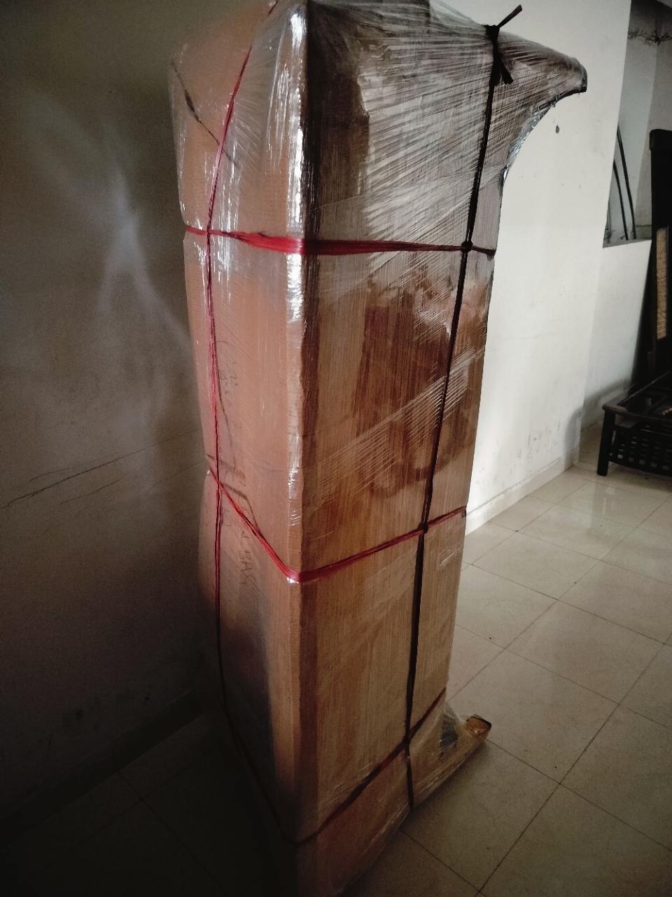 Speed Cargo Packers And Movers