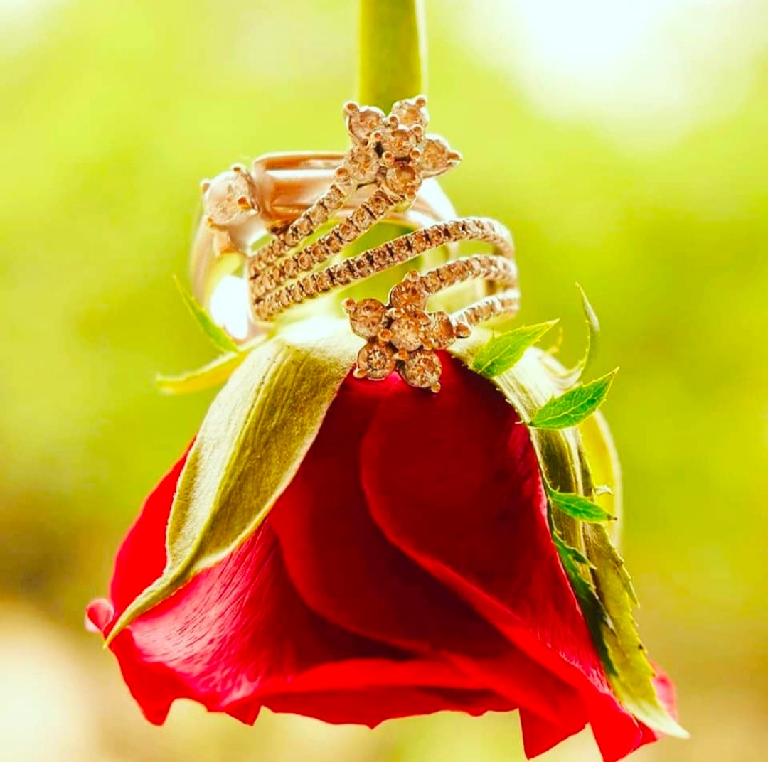 Wedding & portfolio