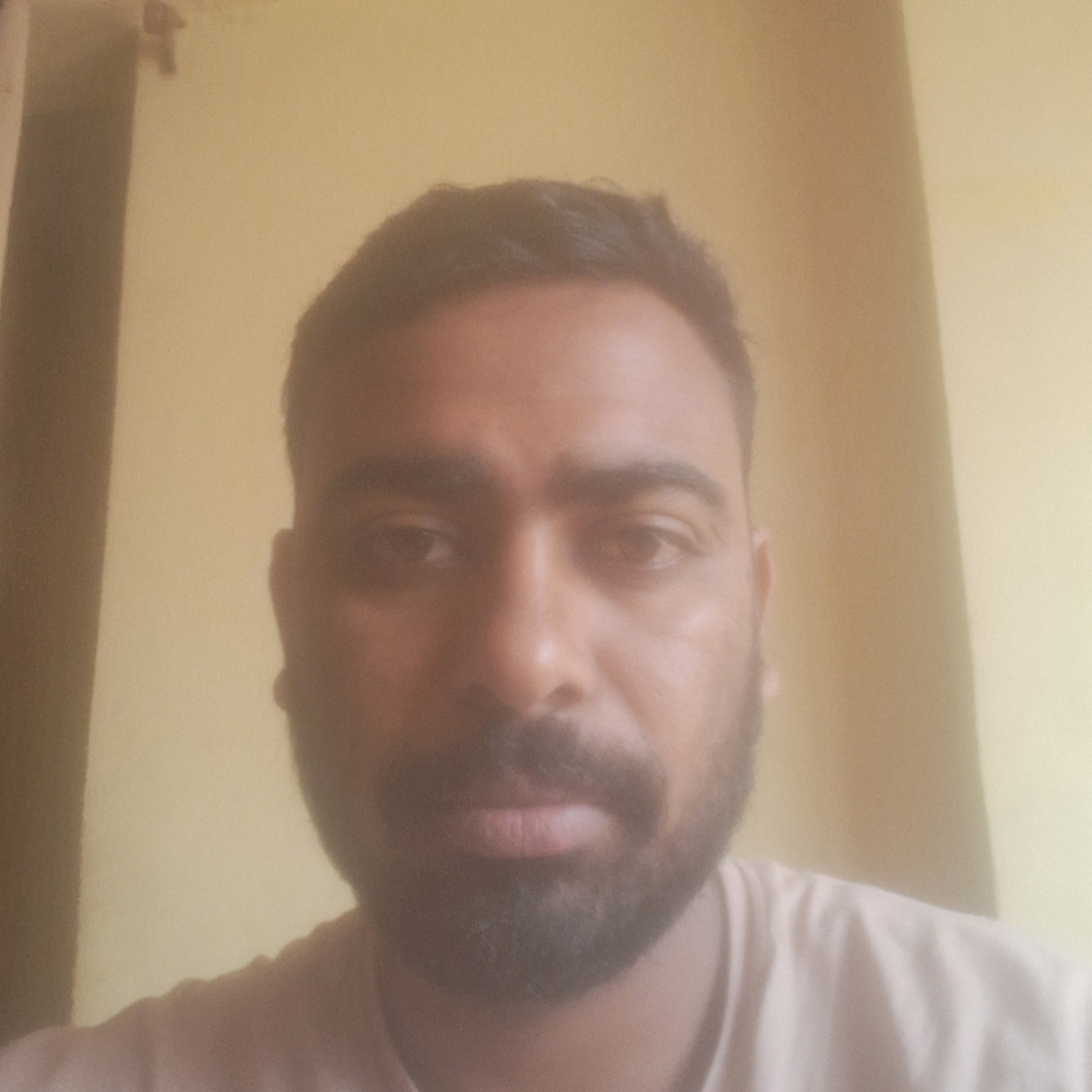Axis Packers And Movers