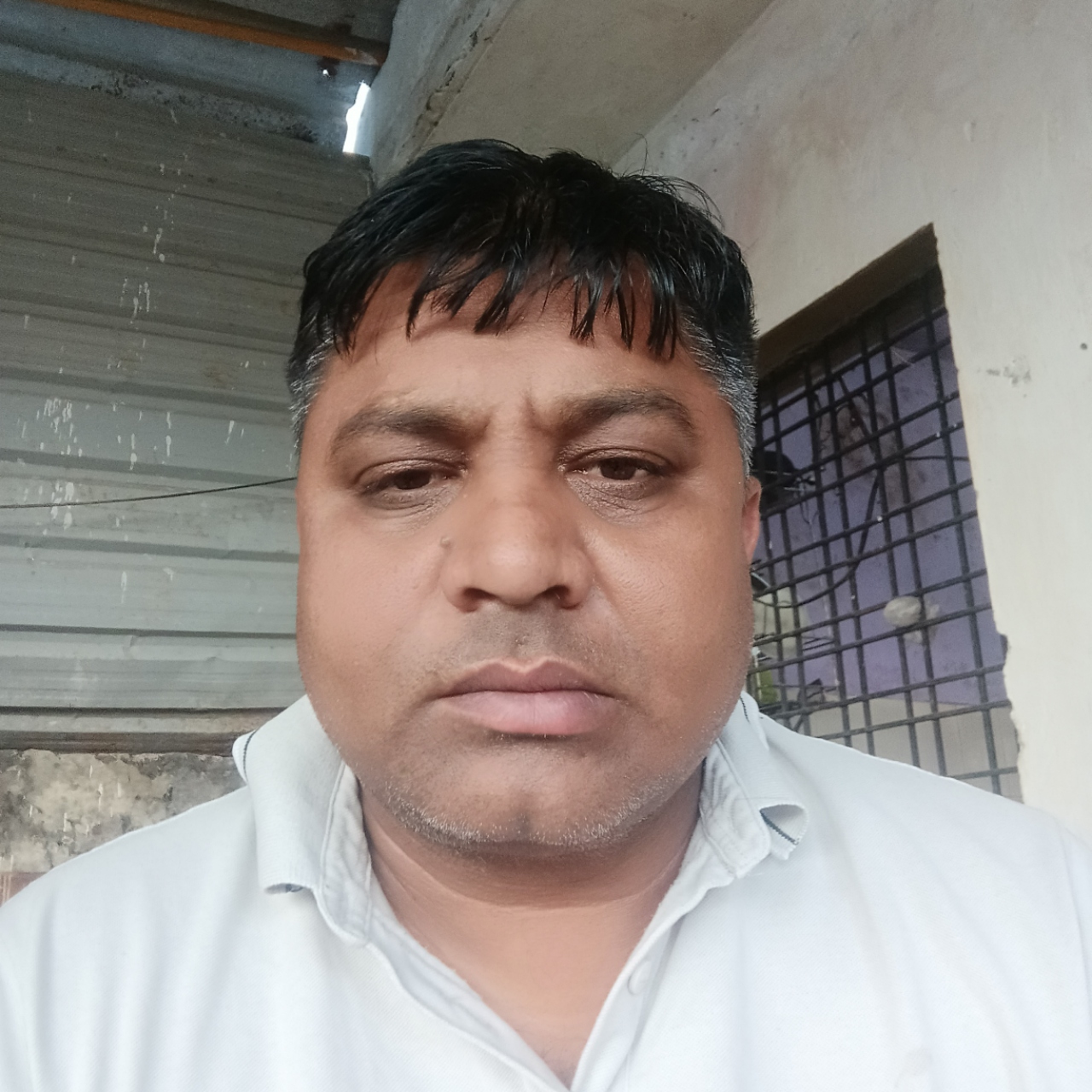 Riyanshi Logistic