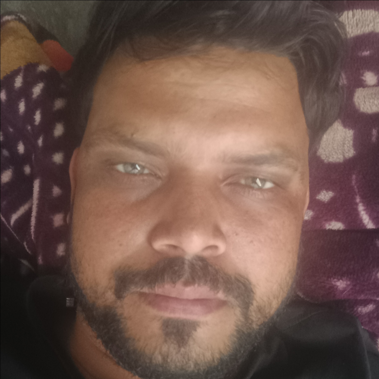 PPGT India Pvt Ltd
