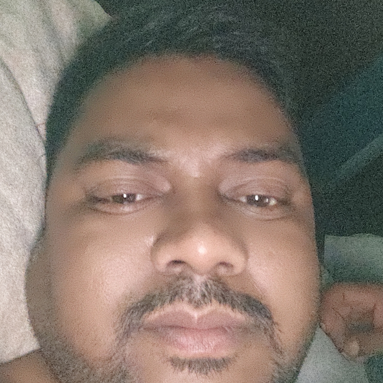 Indian Packers And Express Logistics