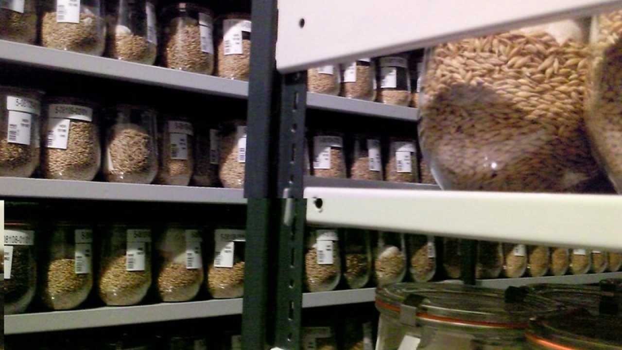 Shelf Life of Handmade Products: What Keeps, What Spoils, What to Make