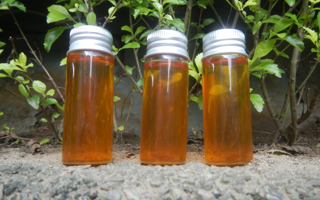 Ayurvedic Hair Oil Business: Make and Sell Herbal Hair Oil from Home
