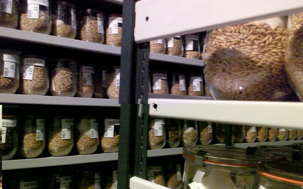 Shelf Life of Handmade Products: What Keeps, What Spoils, What to Make