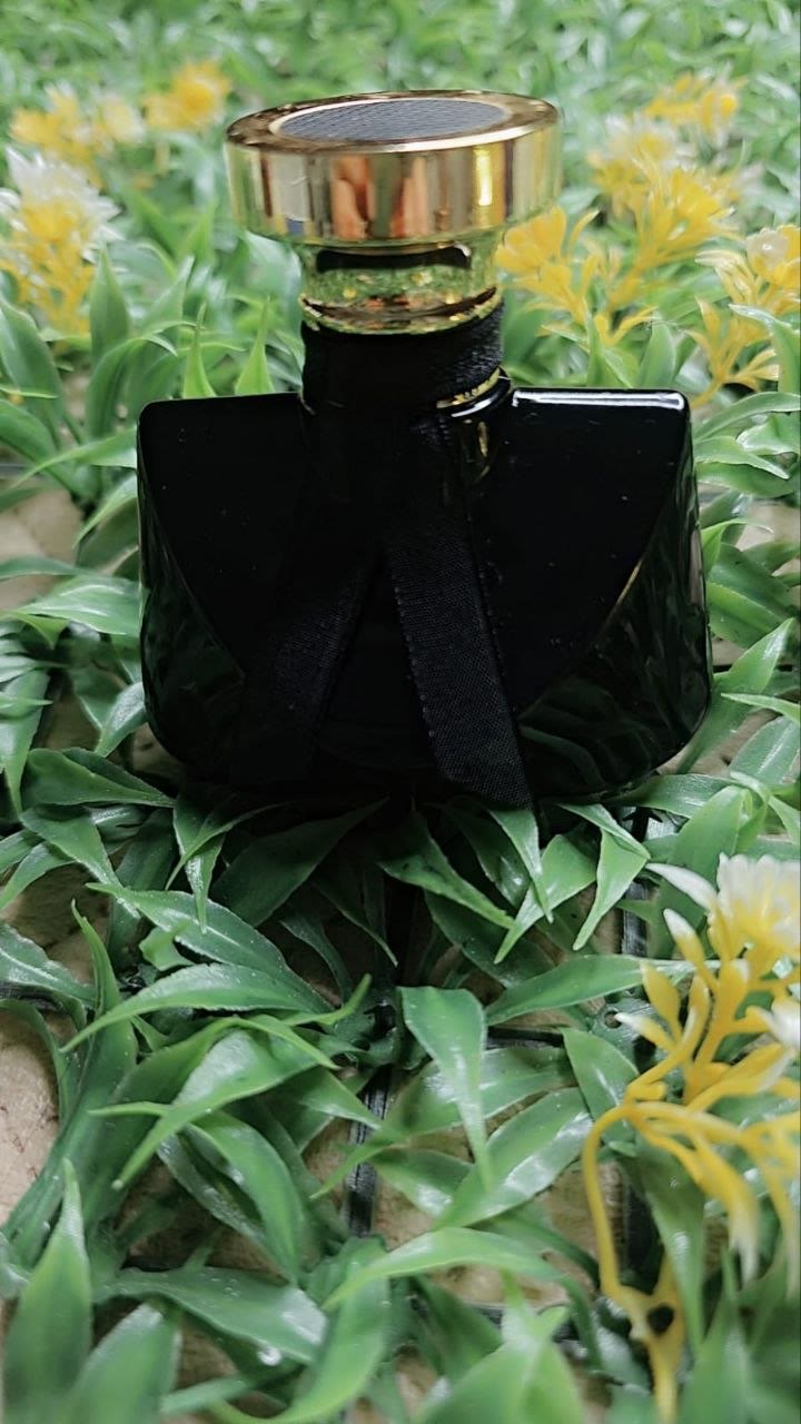 Royal Musk (Rose)