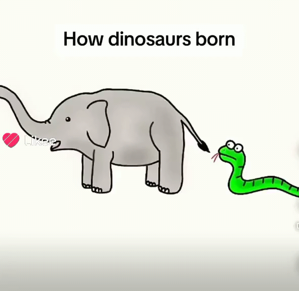 How Dinosaur 🦖 born