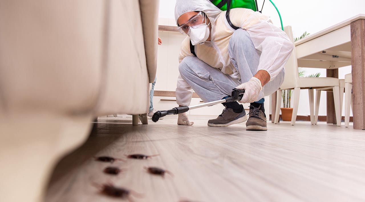 pest Control commercial