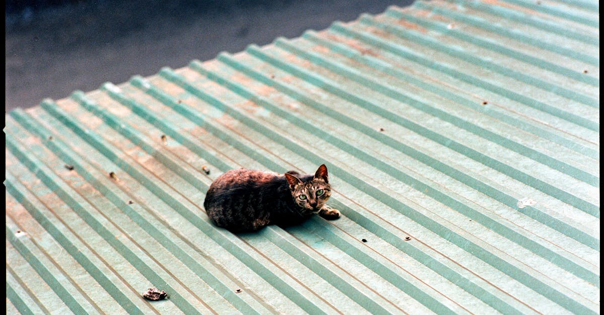 Roofing with Metal in Sydney