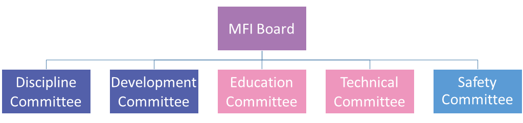 MFI Committees