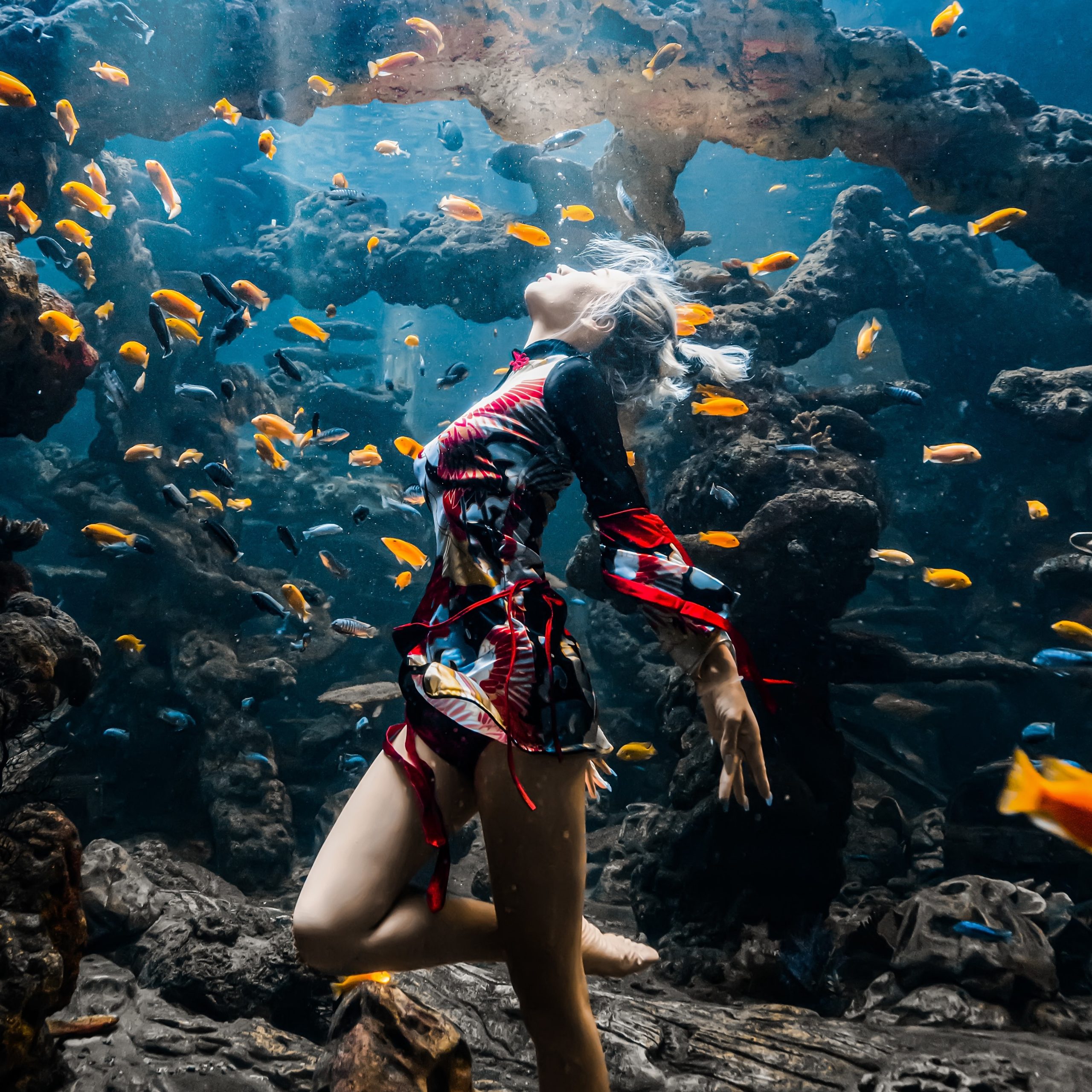 Fiona Cheung  [芯芯]