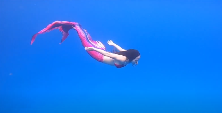 蘋果新聞網 【人生轉角】美人魚復活記　變身OL藏身人間 | 蘋果新聞網