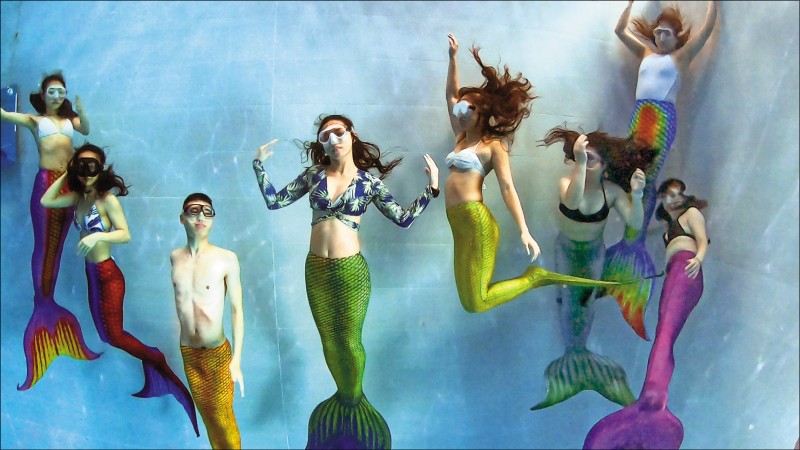 自由時報 【生活進化論】親水健身儀態養成 讓人魚運動優雅你的生活