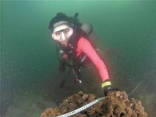 搜狐網 最美「潛水小姐」拉開中國珊瑚礁普查大幕