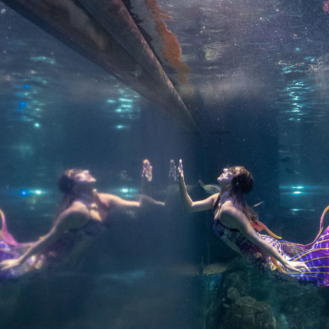 女子的海 人魚藝術─表演篇：活出獨特的模樣