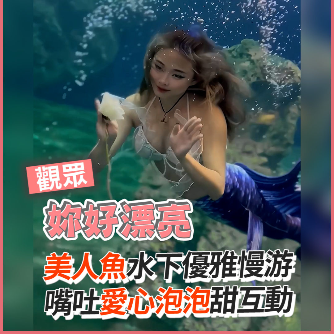 即新聞 職業是美人魚真的太酷了!
