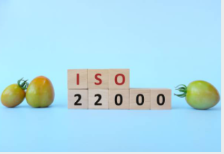 iso 20000 certification