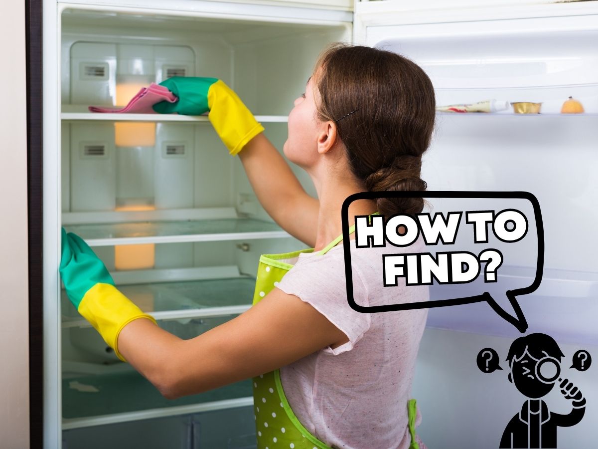 How Do I Find a Commercial Refrigerator Cleaning Services in Virginia