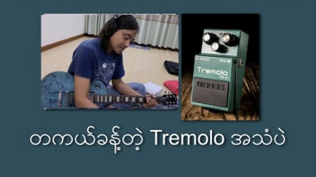 Tremolo TR2 Boss, Zaw Latt (ROS) zawlattrospedalboard