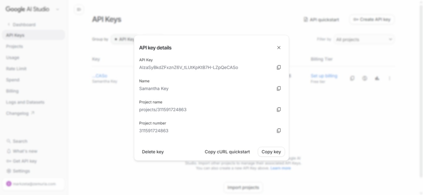 API key created