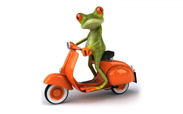 Scooter 