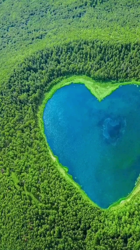 nature lovers