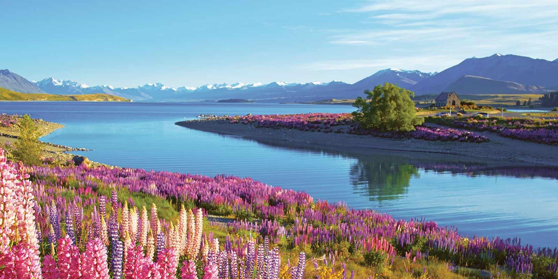 chương trình định cư new zealand