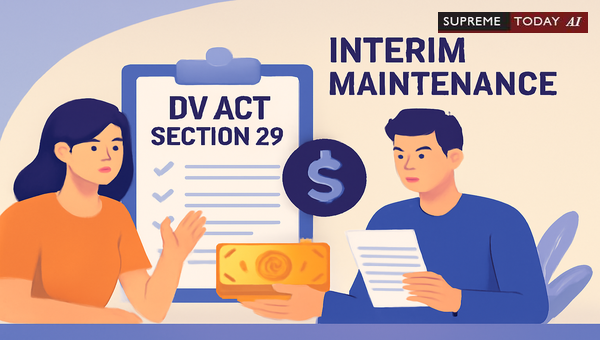Admissibility of Income Evidence in Section 23 Interim Relief under the DV Act