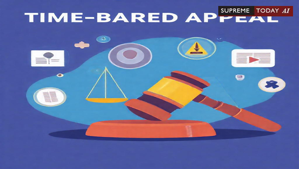 Consequences of Filing an Appeal Beyond the Prescribed Statutory Limitation Period