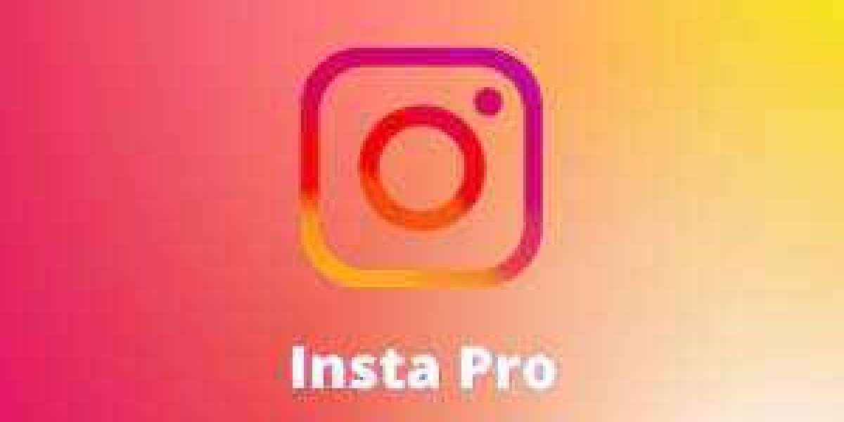 Unveiling the Allure of Insta Pro: Elevating Your Social Media Experience