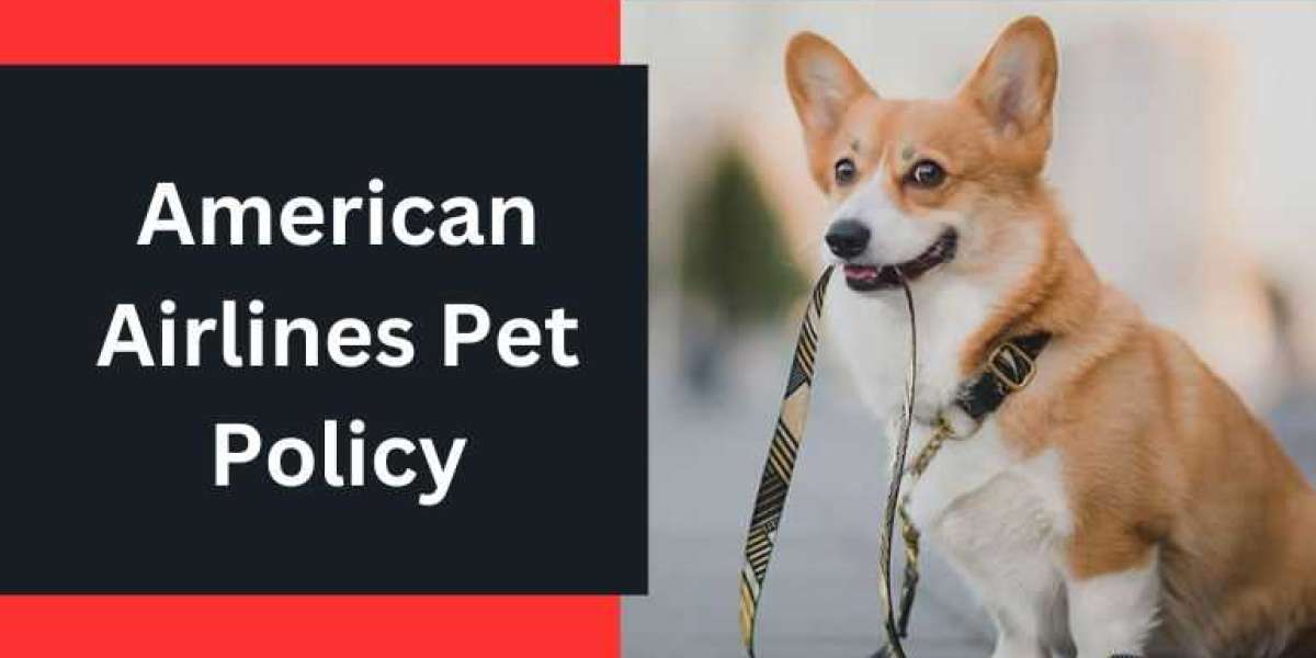 American Airlines Pet Policy - Flight