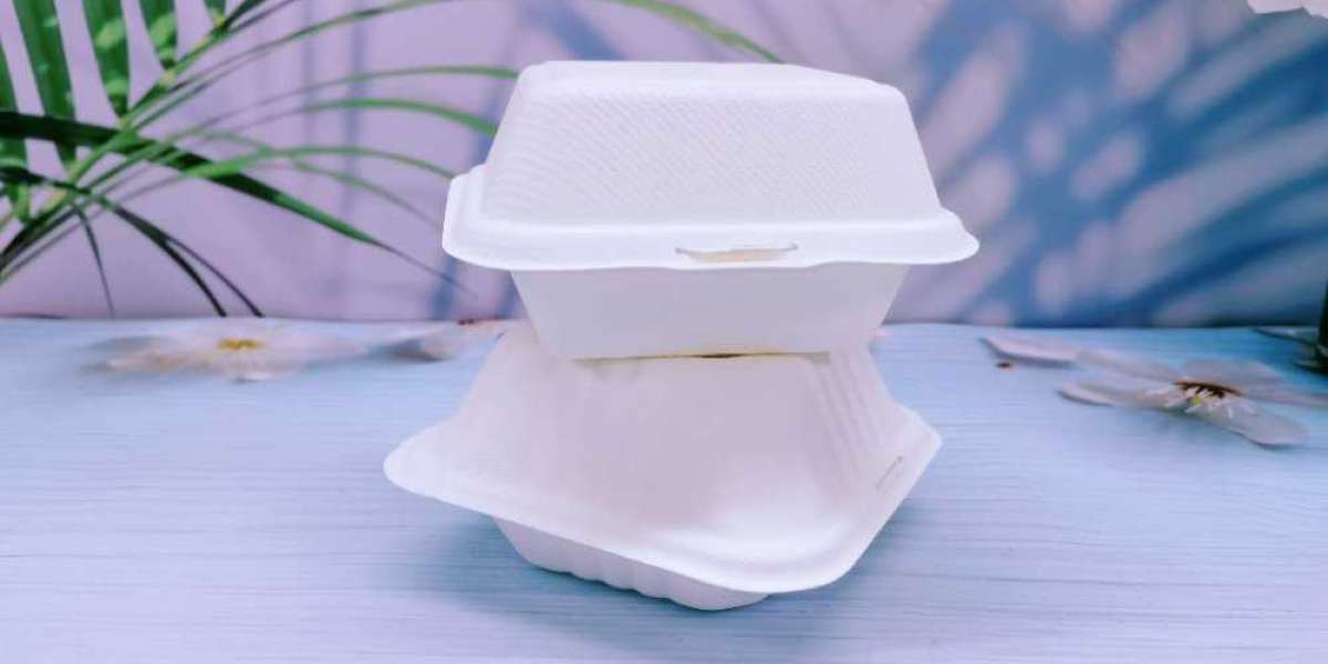 Disposable Biodegradable Clamshell Fast Food Boxes: A Step Towards a Greener Future