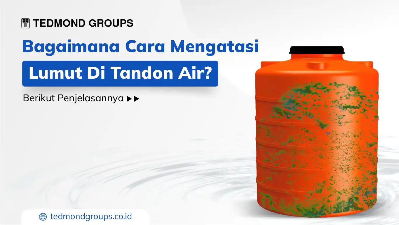 Bagaimana Cara Mengatasi Lumut Di Tandon Air? Berikut Penjelasannya ...