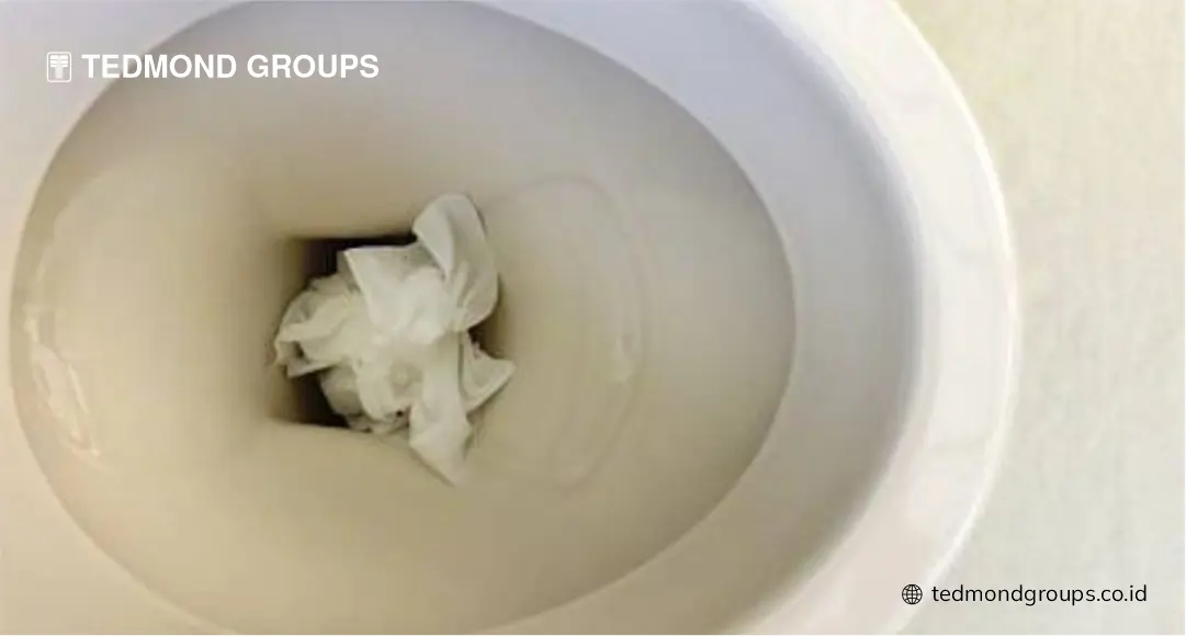 Cara Mengatasi WC Mampet dengan Garam