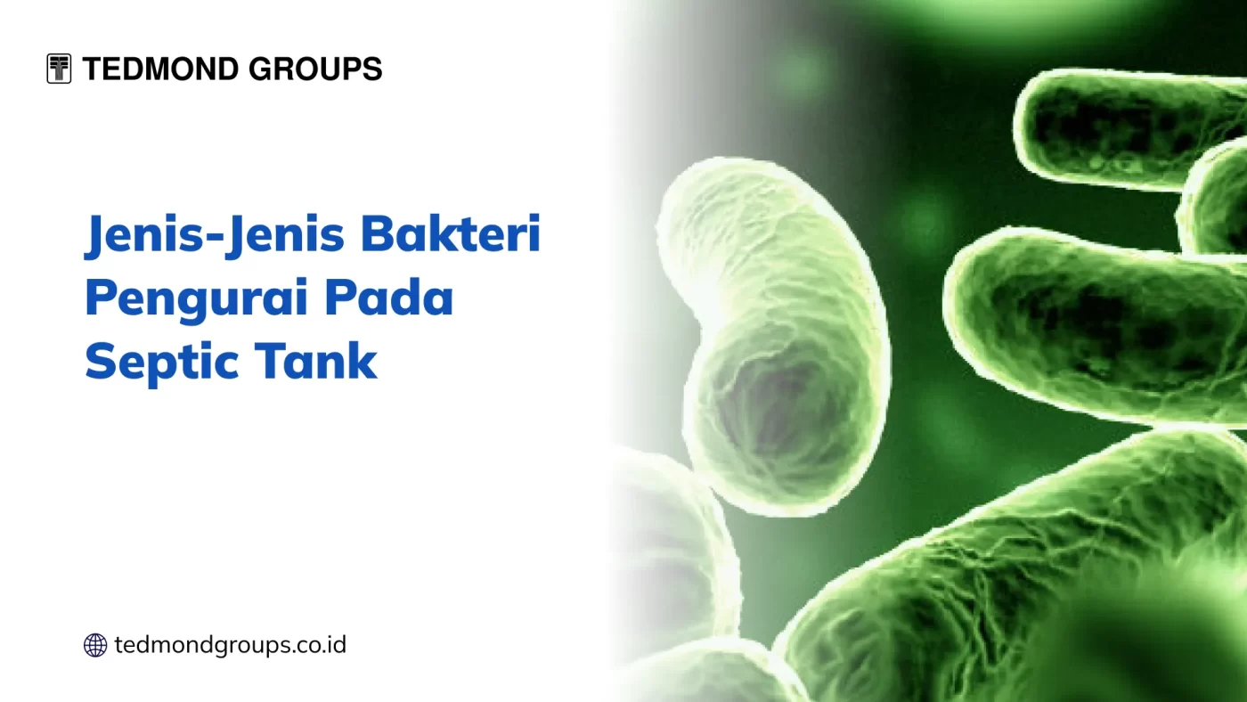 Jenis Bakteri Pengurai Pada Septic Tank