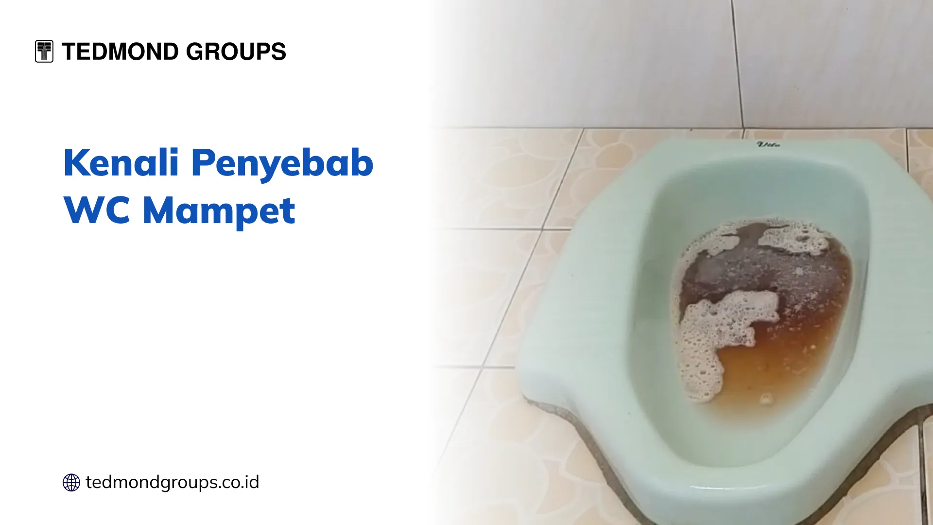 Kenali Penyebab WC Mampet