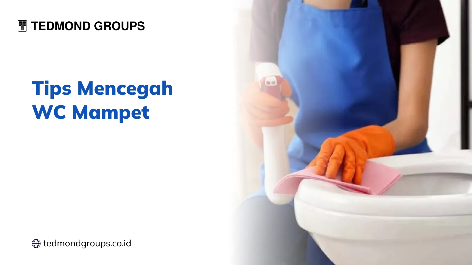 Tips Mencegah WC Mampet