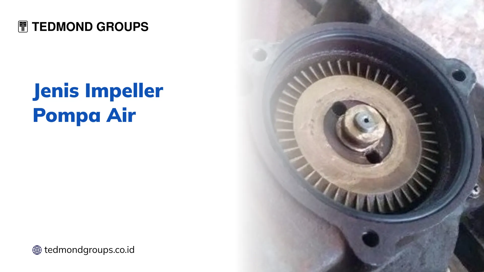 Jenis Impeller Pompa Air