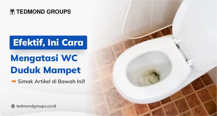 Efektif, Ini Cara Mengatasi WC Duduk Mampet