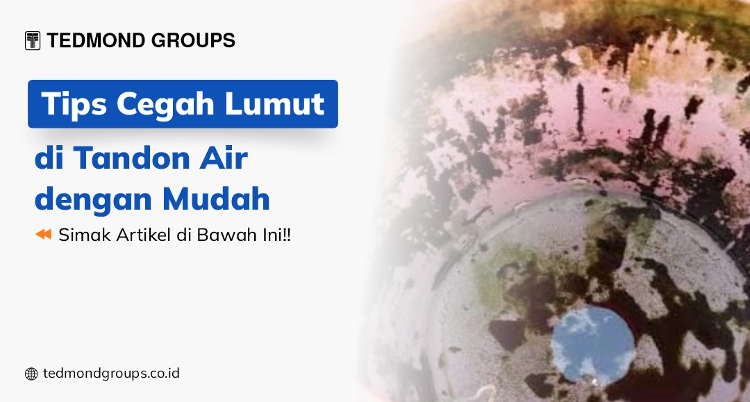 Tips Cegah Lumut Di Tandon Air Dengan Mudah