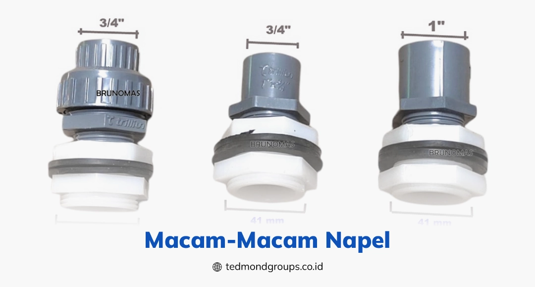 Macam macam napel