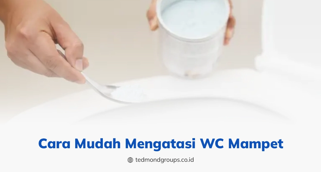 Cara mudah mengatasi wc mampet