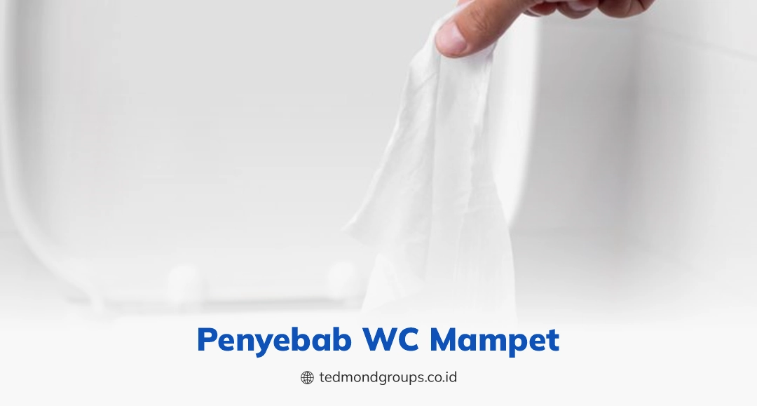 Penyebab wc mampet